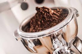 Preparing fresh brew after standard drip coffee maker maintenance
