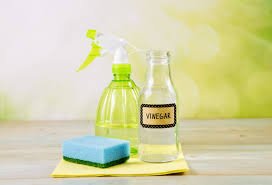 "Vinegar and descaler for cleaning coffee maker"